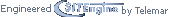 Sitengine - Telemar Spa